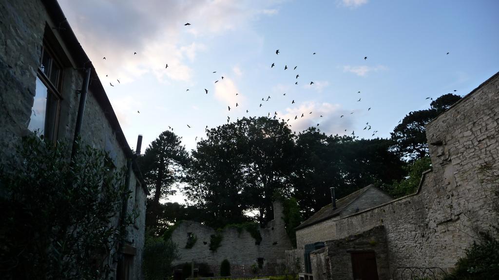 The Priory Bed and Breakfast Middleham Exteriör bild